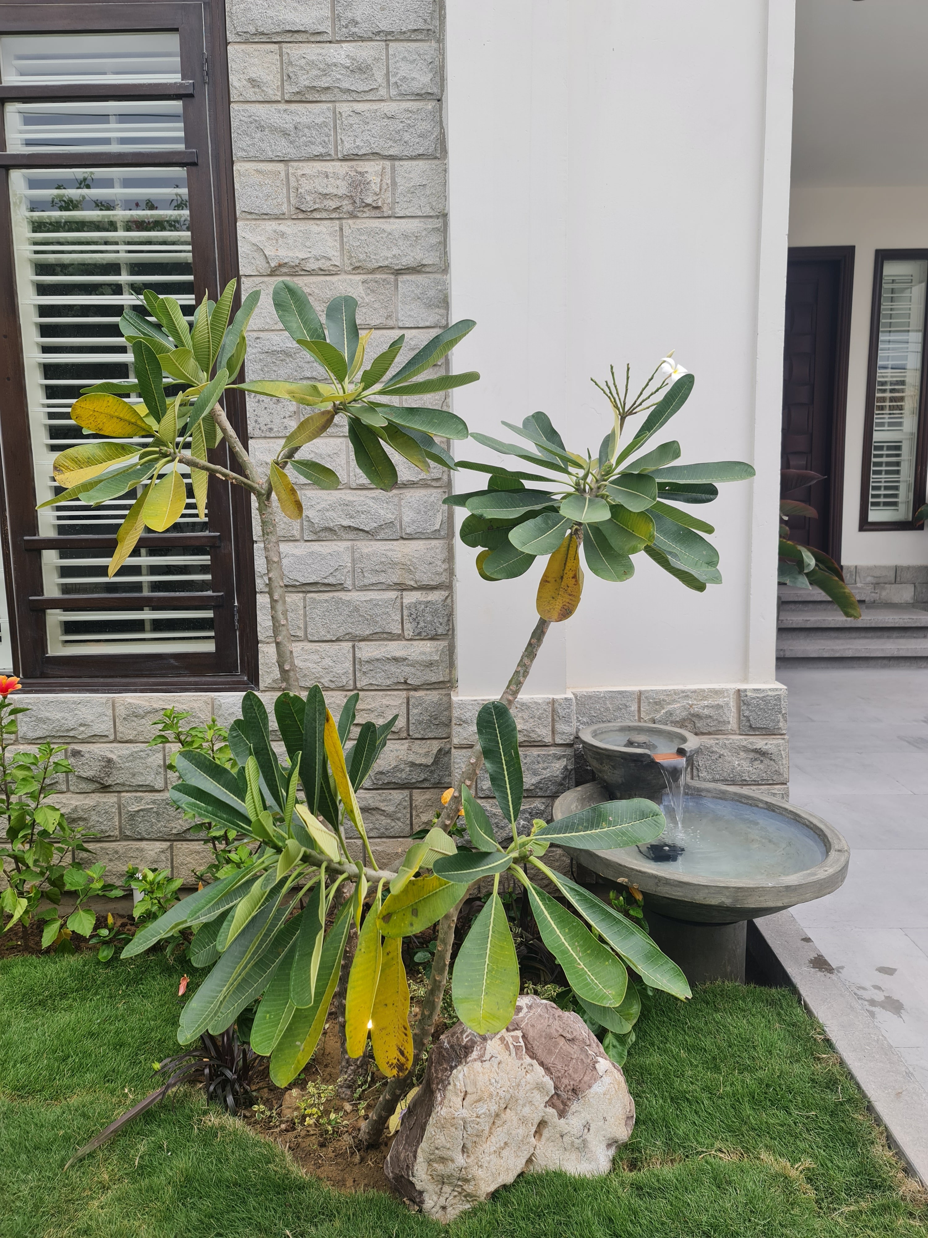 Circular single fall fountain